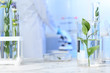 Test tubes and other laboratory glassware with different plants on table indoors