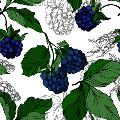 Wall Mural - Vector Blackberry healthy food. Black and white engraved ink art. Seamless background pattern.