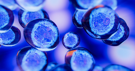 Wall Mural - creative image of embryonic stem cells, cellular therapy. 3d illustration