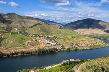 Wall Mural - Douro Valley landscape