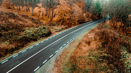 Wall Mural - Aerial view of autumn desaturated forest road. View from above, top view