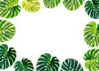 Green leaf border on white background