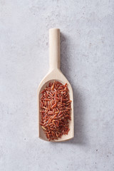 Wall Mural - Wild red rice in a wooden spon on a textured background. Natural organic raw rice. Shallow focus