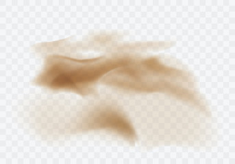 Wall Mural - desert sandstorm, brown dusty cloud or dry sand flying with gust of wind, explosion realistic textur
