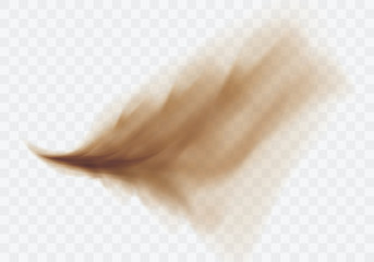 Wall Mural - desert sandstorm, brown dusty cloud or dry sand flying with gust of wind, explosion realistic textur
