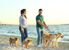 Young Couple Walking Their Adorable Dogs Near River