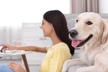 Canvas Print - Young woman and her Golden Retriever dog in living room