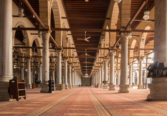 Egypt Mosque