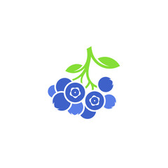 Sticker - Blueberry. Vector illustration. Isolated blueberries on white background 