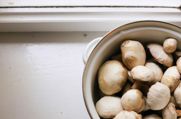 champignon mushrooms in an iron pan on a white windowsill. village concept