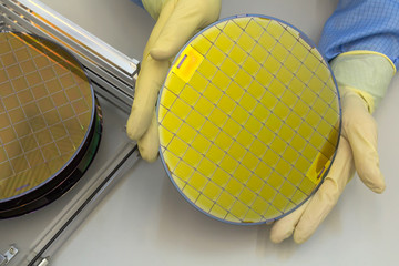 Wall Mural - Silicon Wafers in steel holder box take out by hand in gloves