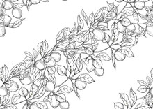 Lemon Tree Branch With Lemons, Flowers And Leaves. Seamless Pattern, Background. Outline Hand Drawing Vector Illustration In Black, White Colors.
