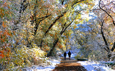 Wall Mural - couple walking past colorful trees after an early autumn snowfall.