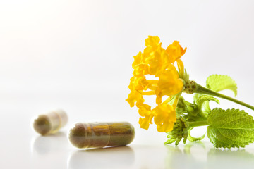 Natural medicine capsules and plant with flowers close up