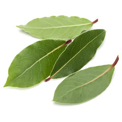 Wall Mural - Aromatic bay leaves