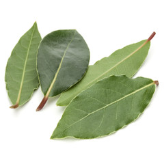 Wall Mural - Aromatic bay leaves