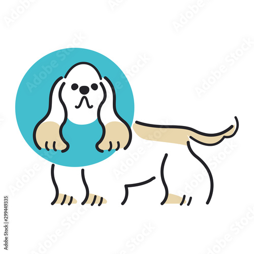 犬 ポーズ 表情 １匹 エリザベス アメリカンコッカースパニエル Buy This Stock Vector And Explore Similar Vectors At Adobe Stock Adobe Stock