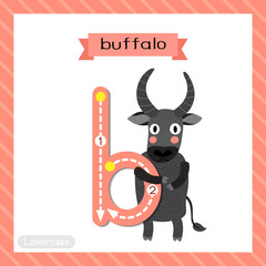 Wall Mural - Letter B lowercase tracing. Buffalo standing on two legs