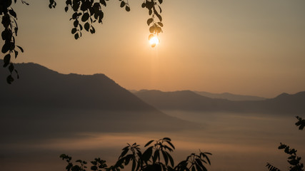 Wall Mural - Natural scenery in the morning, the sun is rising and fog