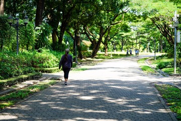 Canvas Print - young woman walking in the park