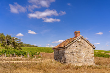 Wall Mural - Chablis