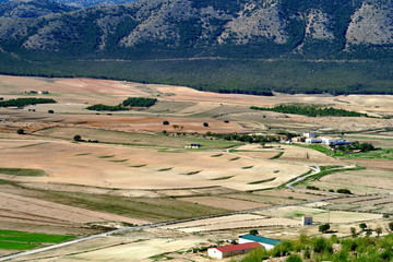 Canvas Print - Paysage de la sierra Andalouse Espagne