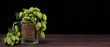 Home brewing concept. Mug with malt and fresh green of hops on dark wooden table. Black background. Empty space for text