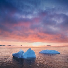 Wall Mural - Early morning summer alpenglow lighting up icebergs during midnight season. Ilulissat, Greenland. Summer Midnight Sun and icebergs. Blue ice in icefjord. Affected by climate change and global warming.