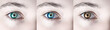 canvas print picture - Farben Pupille - drei Augenfarben des menschlichen Auges - blau - grün - braun