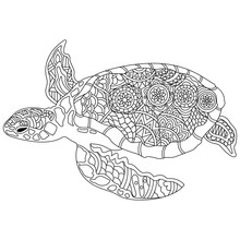 Hand Drawn Doodle Turtle Or Tortoise With Floral Design.