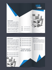 Sticker - Professional Tri-Fold Brochure, Template design.