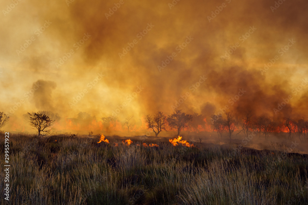 Bush fire in the Western Australian outback (Pilbara) with heavy, dark smoke. Bushfires are an important part  in the cycle of local ecosystems.  - obrazy, fototapety, plakaty 