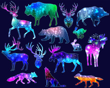 Silhouettes Of Animals With Space Galaxy Background