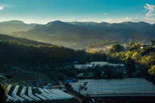 Beautiful Scenery Panorama Of The Khun Klang Village In The Valley At Morning Time , Location's Doi Inthanon Nation Park Chomthong District Chiang Mai Province North Of Thailand