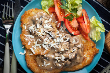 Poster - Crispy fried homemade potato pancakes with mushroom sauce.