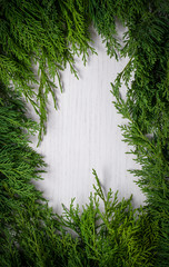Wall Mural - Christmas green framework isolated on white background. Frame of fir branches. Christmas card blank.