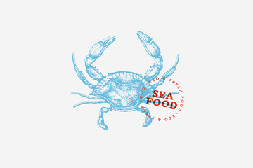 Wall Mural - Image of blue crab, drawn by graphic lines on light background. Retro picture for menu of fish restaurants, markets and shops. Vector illustration of vintage engraving.