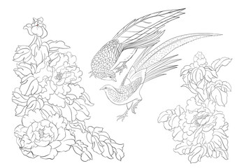 peony tree branch with flowers with pheasants in the style of chinese painting on silk. coloring pag