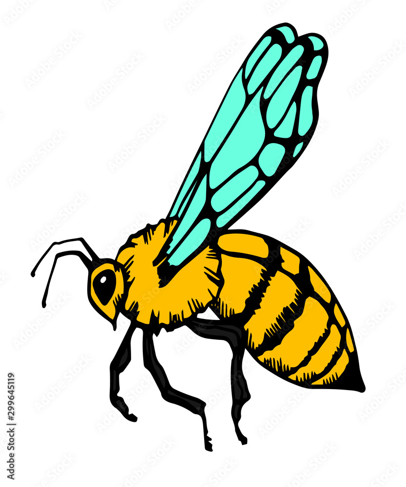 Honey bee vintage vector drawing. Hand drawn isolated insect sketch. Color  illustrations. Great for logo, icon, label, packaging design. Stock Vector  | Adobe Stock, image size:833x1000