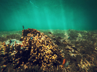 Wall Mural - Underwater photo of summer time in Egipt 