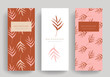 Branding Packaging freehand tropical Palm tree plant leaf summer pattern background, for spa resort luxury hotel, logo banner voucher, fabric pattern, organic texture. vector illustration.