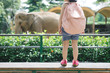© makistock - Children feed Asian elephants in tropical safari park during summer vacation. Kids watch animals