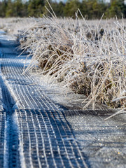 Wall Mural - abstract picture with frosted boardwalk and marshes and shadows, suitable for background