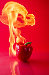 Wall Mural - chili pepper red on fire, burning pepper, hot pepper, on a red and black background.