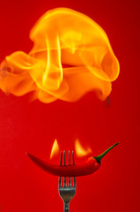 Wall Mural - chili pepper red on fire, burning pepper, hot pepper, on a red and black background.