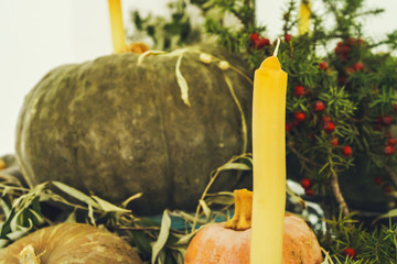 Sticker - Beautiful autumn table decor with green pumpkin