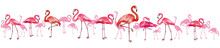 Horizontal Background With Flamingoes