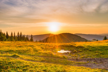 Canvas Print - Sunset in the mountains with forest, green grass and big shining sun on dramatic sky