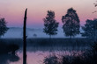 A quiet and peaceful lake in the misty Pietzmoor in front of a red, pink and purple  shining sky at sunrise in the moor. 