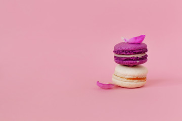 Purple macaroon lies on top on a white macaroon. Two macaroons with delicate pink peony petals. Light pink background. Tasty carda, copy space